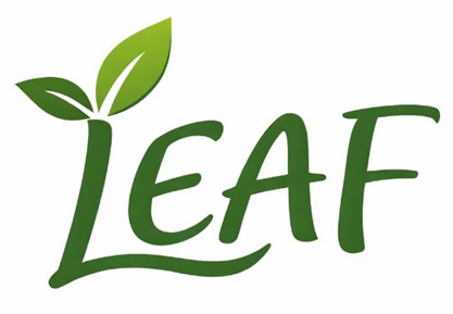 Leaf